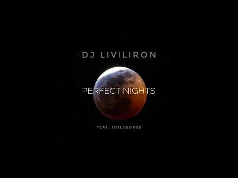 PERFECT NIGHTS - DJ Liviliron feat Joel George