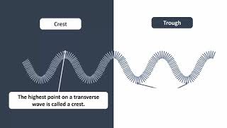 Waves and Their Types