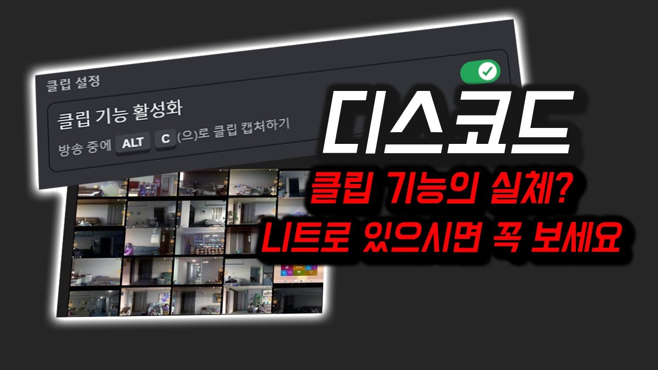 디스코드 화면 공유에 클립 기능이.. 악용될 수도 있다고? [ 클립 기능 ]