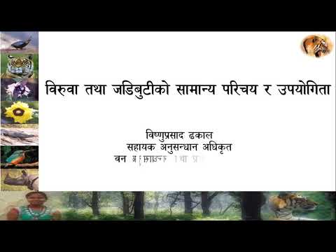 वनरक्षक_Part 18 (खण्ड १८)_विरुवा तथा जडिबुटीको सामान्य परिचय र उपयोगिता_NTFPs