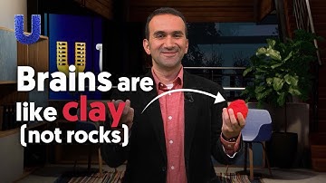 How can we build a computer that thinks like a brain?