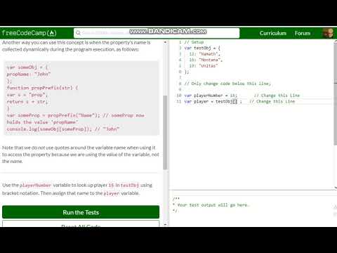 Basic JavaScript Accessing Object Properties with Variables free code camp   Dani