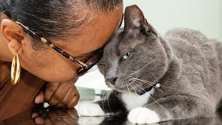 Help keep veterinary care affordable in Brooklyn