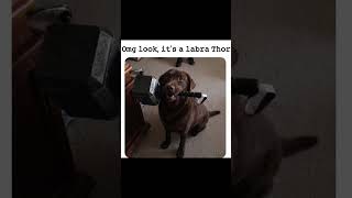 Thor ka hathoda 🤣