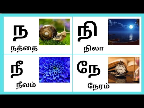 ந நத்தை,நா நாள்காட்டி/ந நா நி நீ/ந வரிசை சொற்கள்/LEARN TAMIL ALPHABETS ...