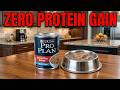 5 Wet Dog Food Brands With More Filler Than Meat And 3 That Are Actually Nutritious