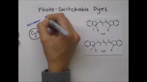 20_STORM Microscopy_Paulsen