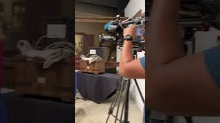 KHOU interviews Dr. Annie Johnson Benifield at Women’s Equality Day Reception