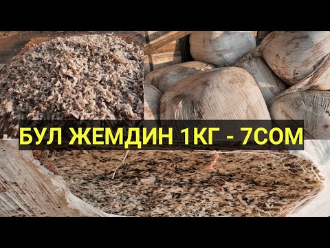 Video: Кой чарбасы: башталгычтар үчүн нускама