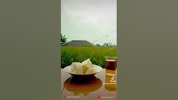gemericik hujan di sawah di temani dengan singkong rebus dan air teh hangat