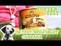 Hundefutter-Test Wolfsblut Cebrana (Nassfutter) Getreidefrei - YouTube