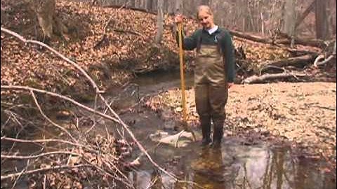 Benthic Monitoring in County Waterways
