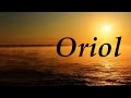 Oriol, significado y origen del nombre