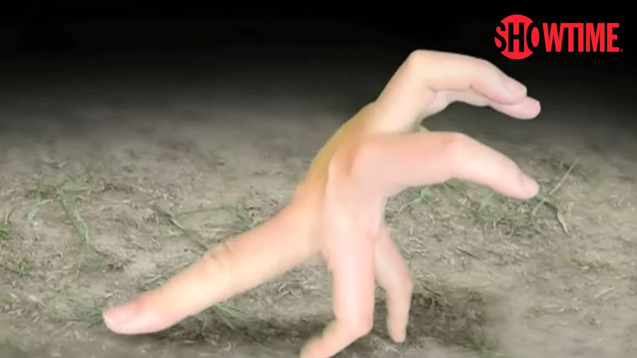 Evolution in Handspans - Walks of Life Video 2 YouTube player