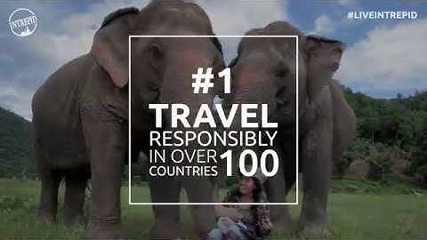 Five reasons to travel with Intrepid