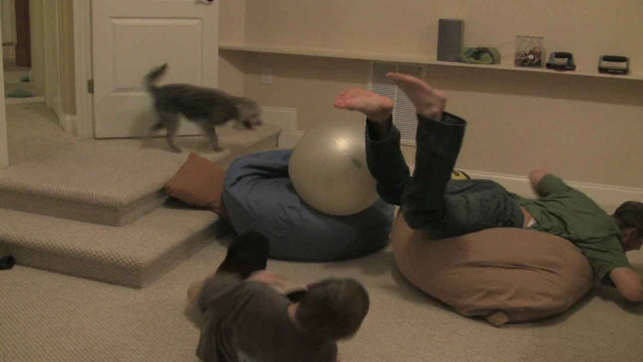 Exercise Ball And Bean Bag Chairs Youtube