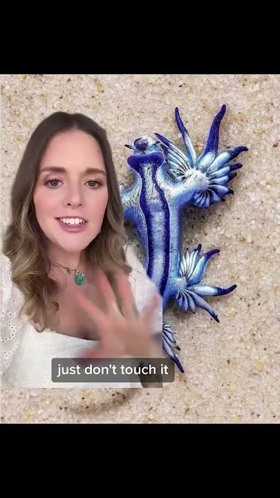 3 things NOT to do in #australia #tips #travel #advice #dontdoit