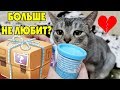 ПОСЫЛКА С ТАЙНЫМИ ЗНАКАМИ ОТ КИСЫ МИЛКИ! СЛАДУН ГРУСТИТ.