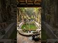 Turning an abandoned courtyard into a luxury tropical oasis 🌿💧