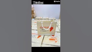 Túi Vải Đay Quà Tặng Khách Hàng - Trang Túi