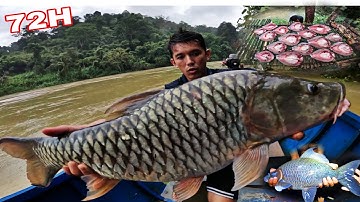 72H Ngủ Giữa Rừng Săn Cá Lớn | Trúng Đậm Bầy Cá khủng Sau Cơn lũ Giữa Rừng Mưa Làm Cá Gác bếp 