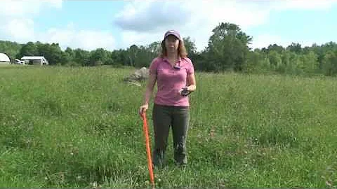 Calculating Paddock Size