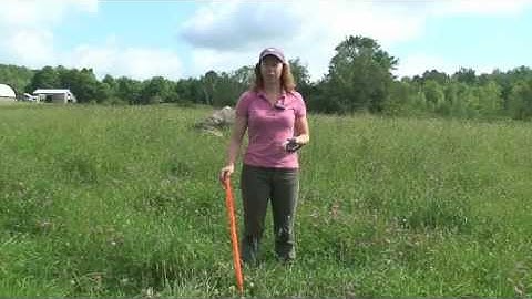 Calculating Paddock Size