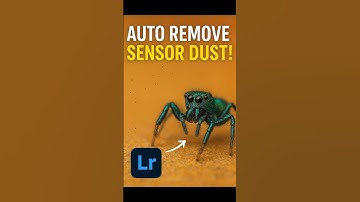 How to Instantly Remove Sensor Dust Spots in Lightroom Classic (Step-by-Step)  #lightroomtutorial