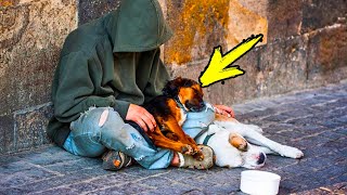 The vet refuses to help a homeless man's dog. A few days later something shocking happens!