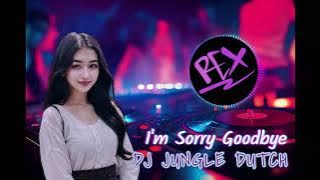 DJ REXZ 2024 | I'M SORRY GOODBYE | JUNGLE DUTCH