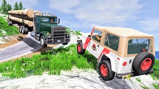Realistic Car Cliff Drops #35 - BeamNG Drive Crashes | CrashBoomPunk