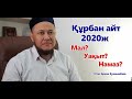 Құрбан айт 2020ж - Арман Қуанышбаев