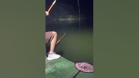 Handing La Van Cuong cần câu chính hãng   #Fishing9191 #câu đài #khámphá Cre Fishing 9191