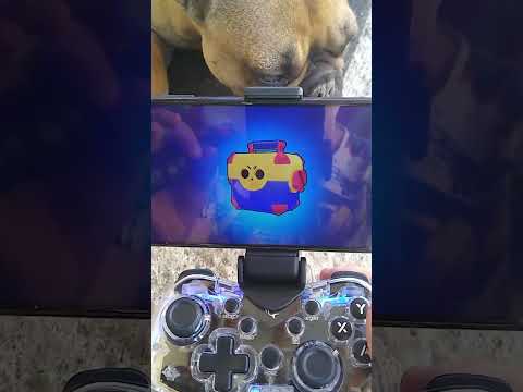 Controller Dog ALL