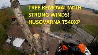 Arborist tree climbing and removing tree in strong wind | Husqvarna T540XP | Husqvarna 572XP by patkarlsson 14,540 views 1 year ago 21 minutes