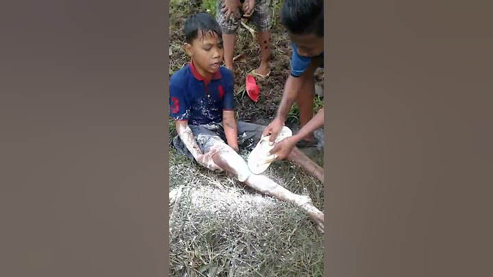 Haqi & Aji - Panik kena lintah nangis histeris