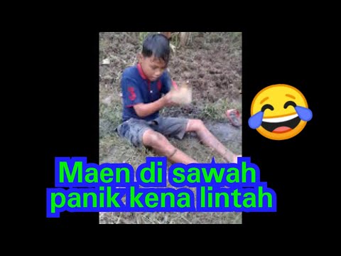 Video: Kenapa ayam tumis saya lasak?