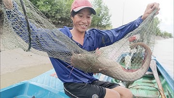 Cùng hai ông cậu thục hang cá ngát.