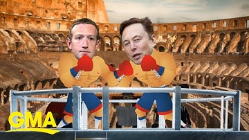 Potential MMA style fight between Zuckerberg and Musk | GMA