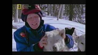 Nature  Sled Dogs: An Alaskan Epic (Huskies in Alaska Documentary) National Geographic Channel 1999
