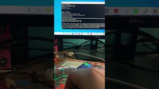 CECS 447 Final Project Demo - An Embedded Weather Quest