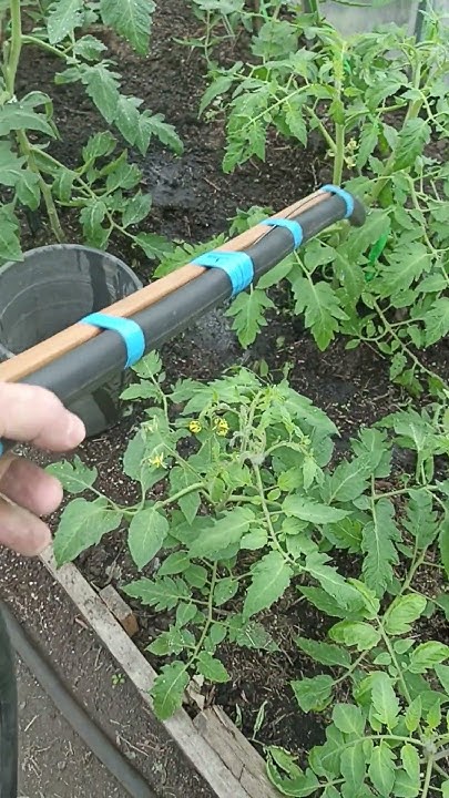 Подставка под 200 литровую бочку для полива из шланга своими руками ...