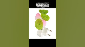 3D LED Night Lamp with Plug Smart Sensor auto On/Off and Color Change Mushroom Flowers 80% off 119/-