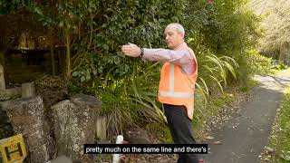 Now you know! - How to find your Toby