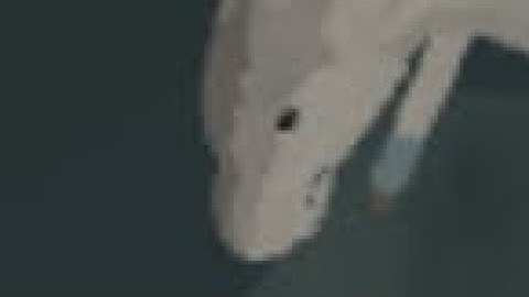 Oh No! WoF MAP part 5