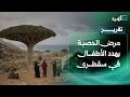 شبح مرض الحصبة يهدد الأطفال في أرخبيل سقطرى وسط غياب الرعاية الطبية