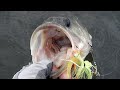 7 Best Lures For Spring Bass Fishing | How To | Bass Fishing