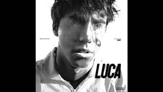 Video thumbnail of "BROCKHAMPTON - LUCA"