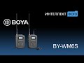 Радиосистема Boya BY-WM6S, лучше чем Saramonic? Тестируем! (Интеллект Фото ТВ)