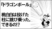 ポケモン グラードン カイオーガの戦いはどのようなものだった Youtube